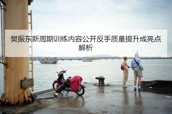 樊振东新周期训练内容公开反手质量提升成亮点解析
